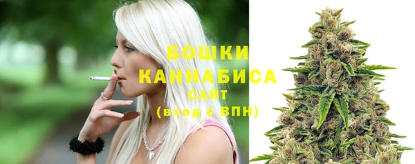 трава Абаза