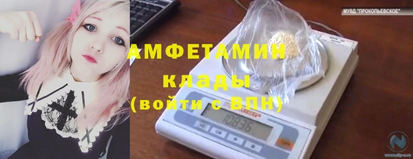 трава Абаза
