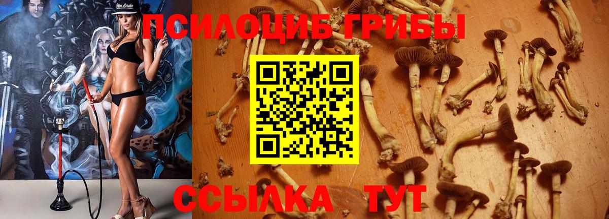 Галлюциногенные грибы MAGIC MUSHROOMS Алатырь
