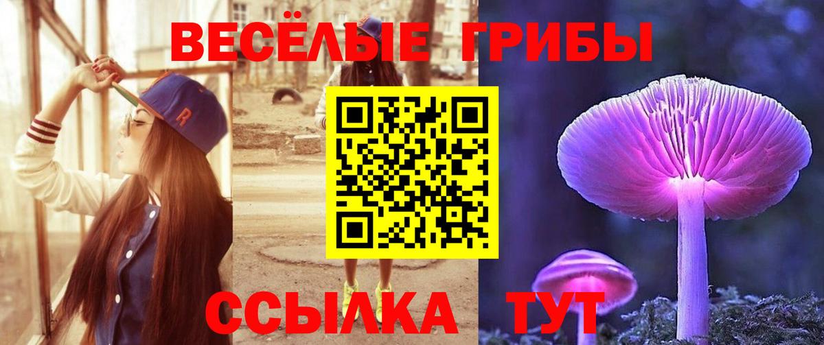 Алатырь  наркошоп  Вход с VPN  Галлюциногенные грибы мухоморы  Псилоцибиновые грибы ЛСД 